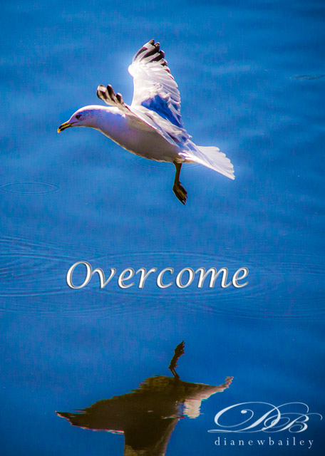 Becoming an Overcomer