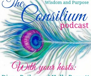 The Consilium Podcast, Episode 8, Julie Hulstein