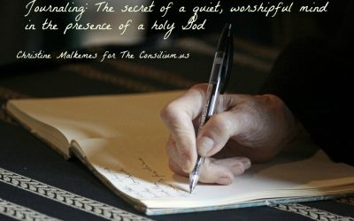 To Journal or Not to Journal?