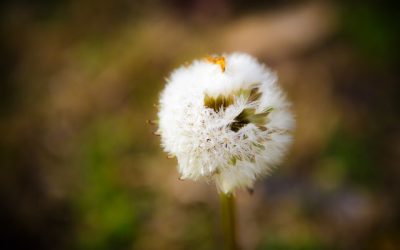 Transformation: God’s To-Be Plan