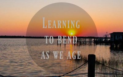 Learning to Bend