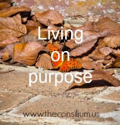 Living Sidetracked or On-Purpose