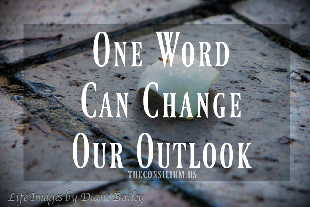 One Word Changed My Outlook & Helped Me Grow by Teresa Coehlo for The Consilium